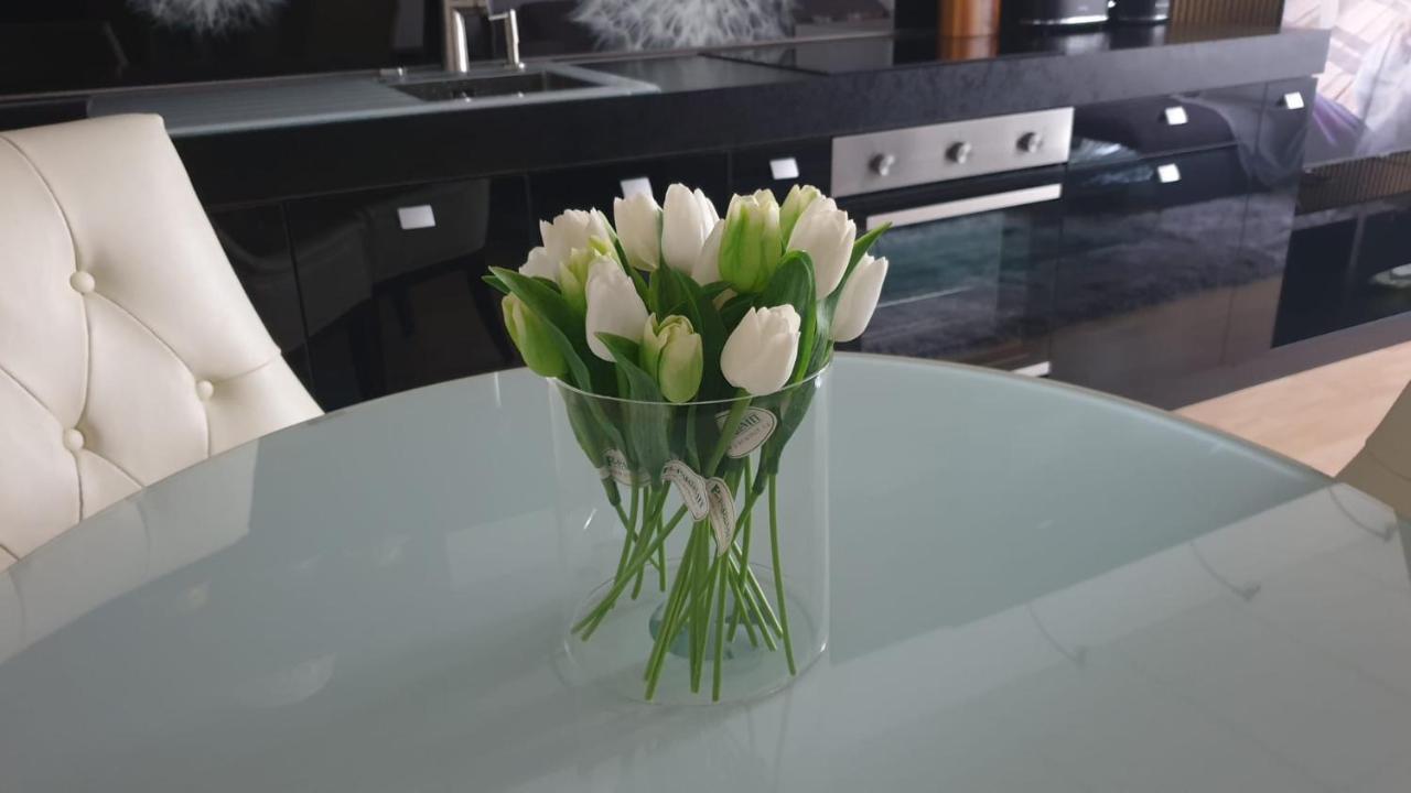 Kvetinovy Apartman A3B V Chomutove Екстер'єр фото